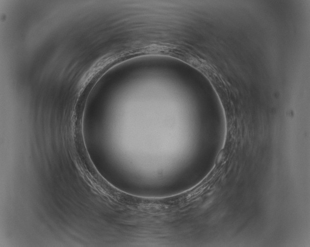 X0000081380242200701111459