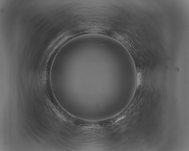 X0000081380243200701111459