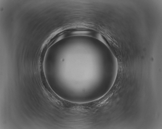X0000081380244200701111459