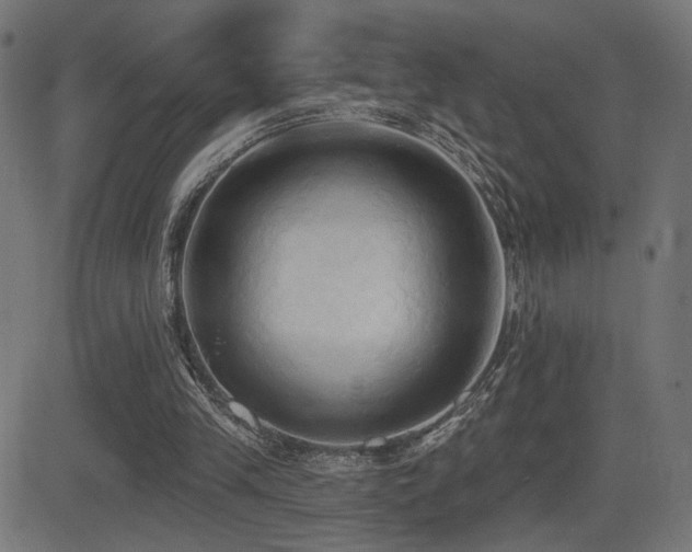 X0000081380245200701111459