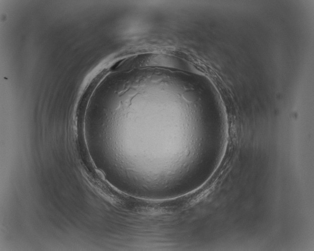 X0000081380246200701111459