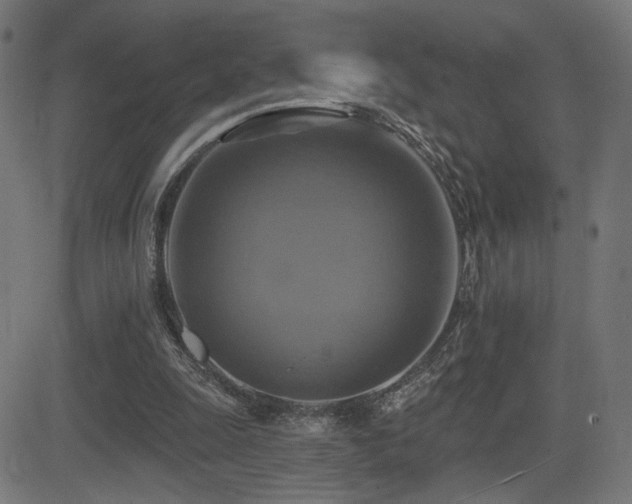 X0000081380247200701111459