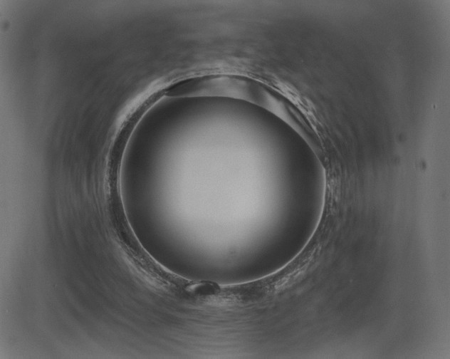 X0000081380248200701111459
