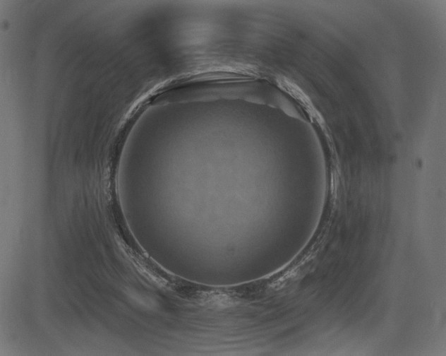 X0000081380249200701111459