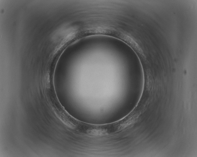X0000081380251200701111459