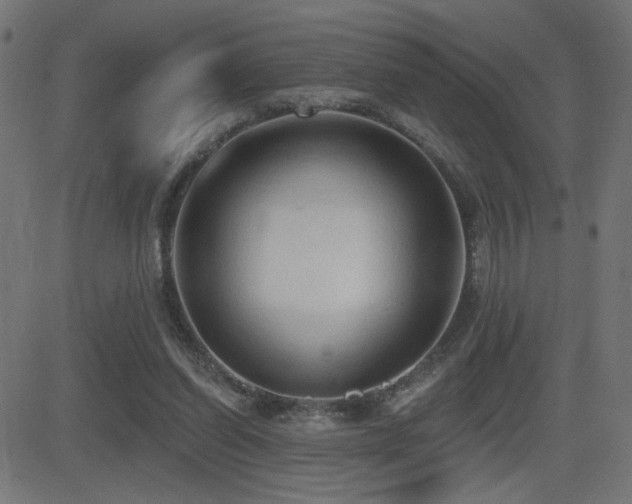 X0000081380254200701111459