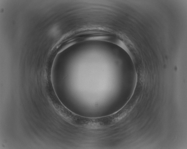 X0000081380256200701111459