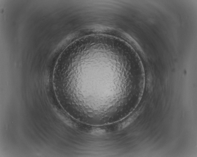 X0000081380257200701111459