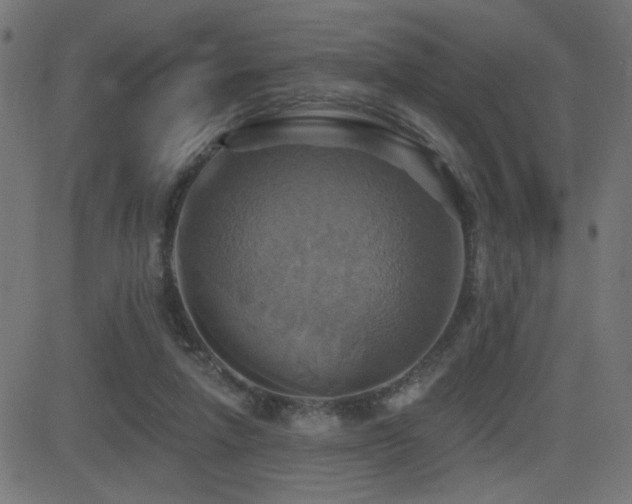 X0000081380258200701111459