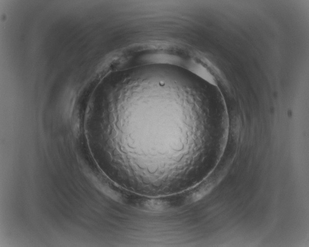 X0000081380261200701111459