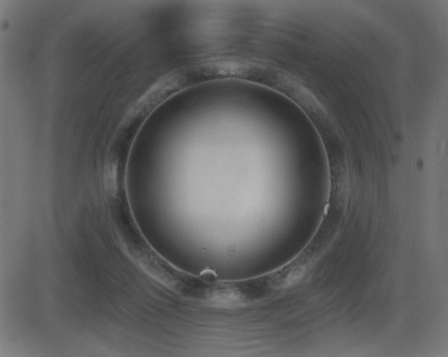 X0000081380262200701111459