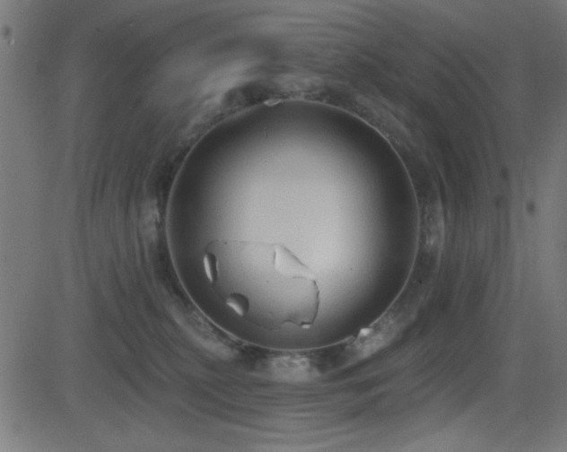 X0000081380279200701111500