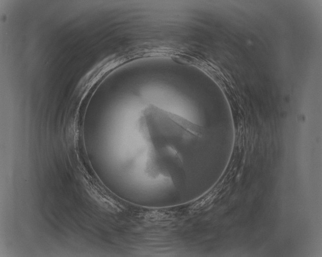 X0000081380290200701111459