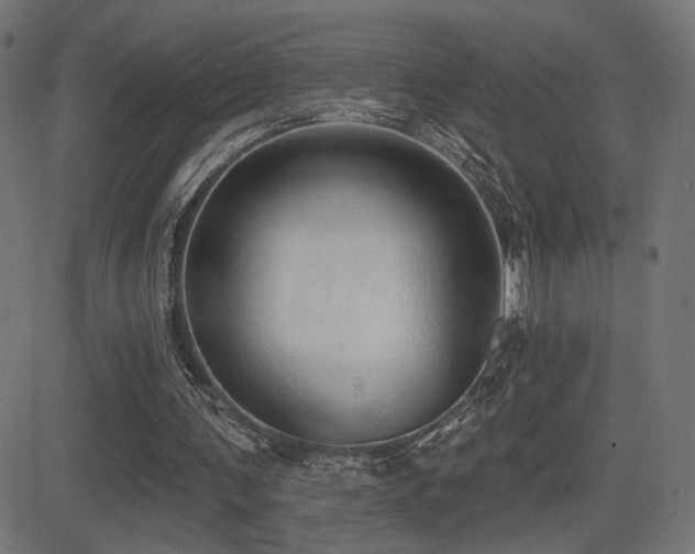 X0000081380291200701111459