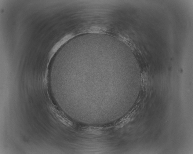 X0000081380292200701111459