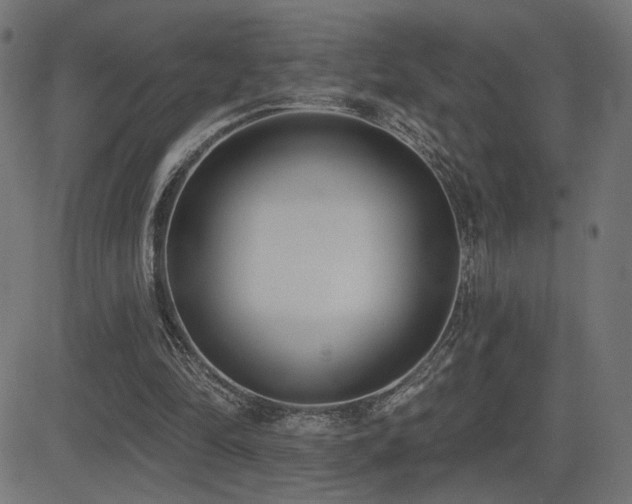 X0000081380294200701111459