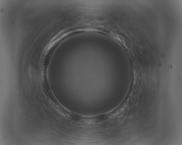 X0000081380295200701111459