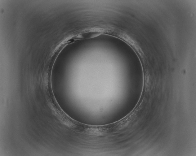 X0000081380297200701111459