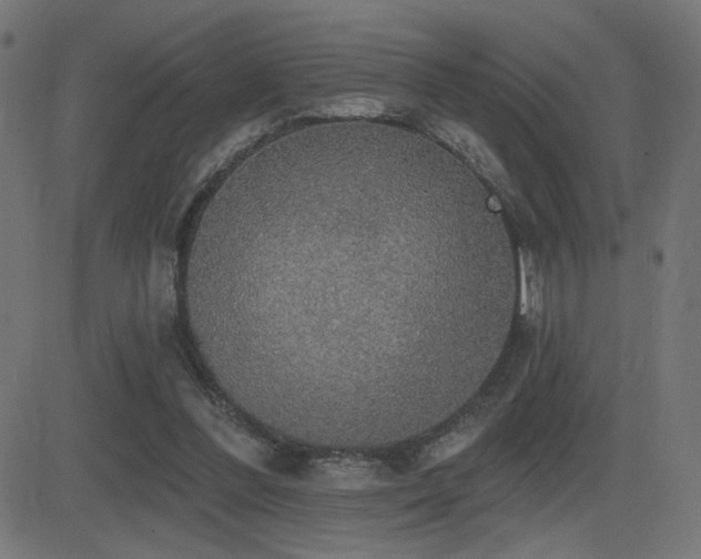 X0000081380300200701111459