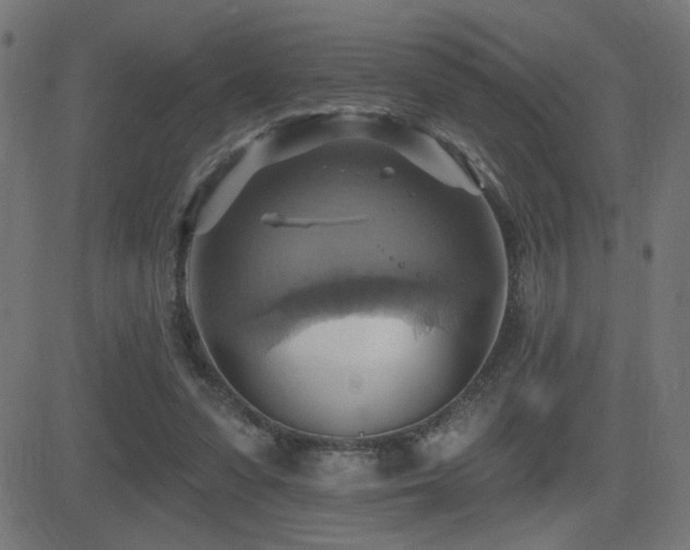X0000081380303200701111459