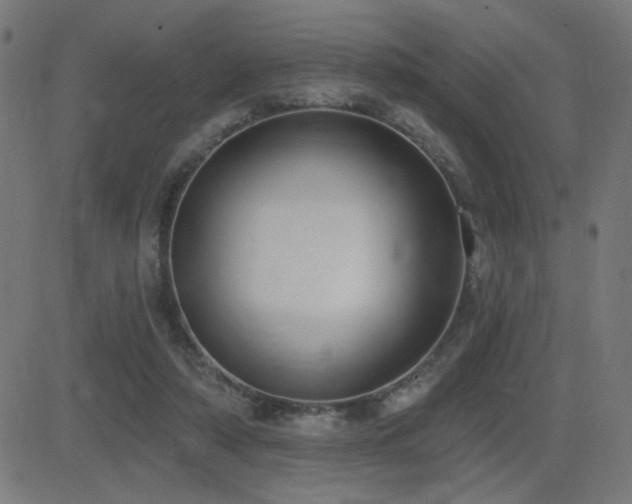 X0000081380306200701111459