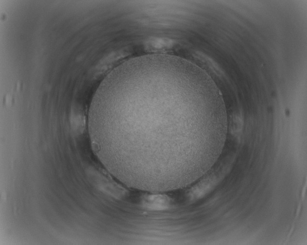 X0000081380324200701111459