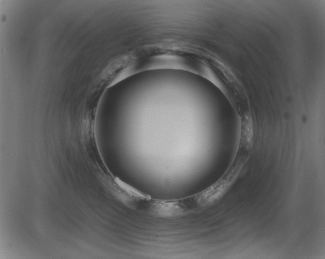 X0000081380333200701111458