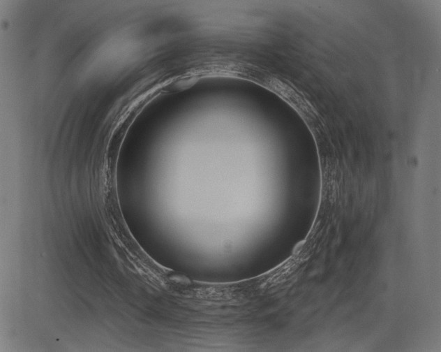 X0000081380338200701111458