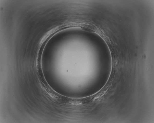 X0000081380340200701111458
