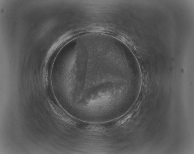 X0000081380343200701111458