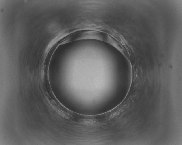 X0000081380344200701111458
