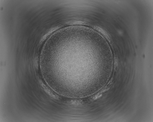 X0000081380345200701111458