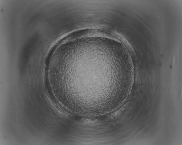 X0000081380346200701111458