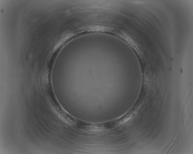 X0000081380347200701111458