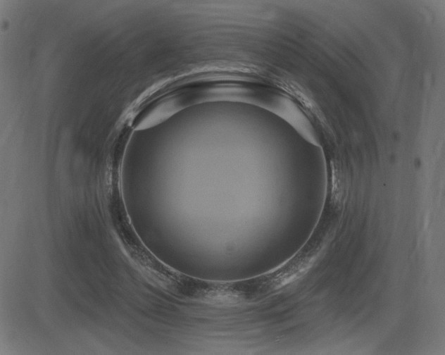 X0000081380348200701111458