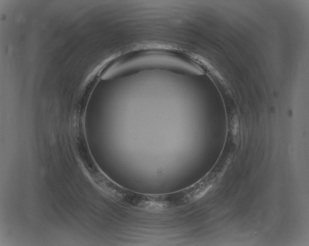 X0000081380352200701111458