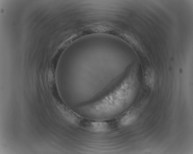 X0000081380371200701111458