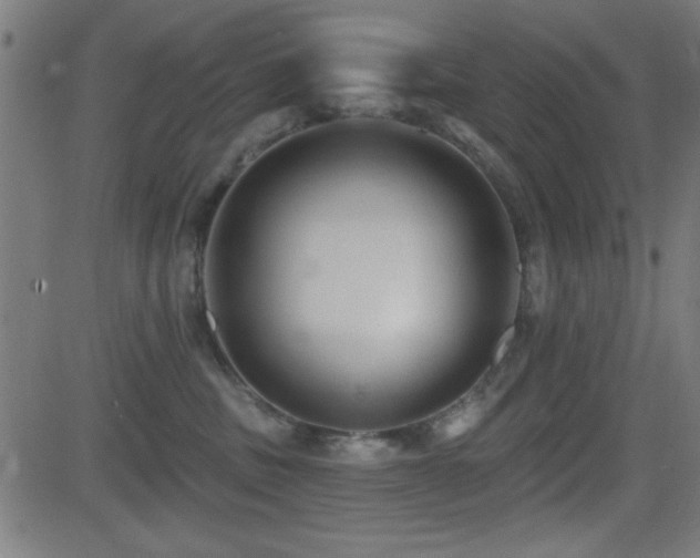 X0000081380379200701111458