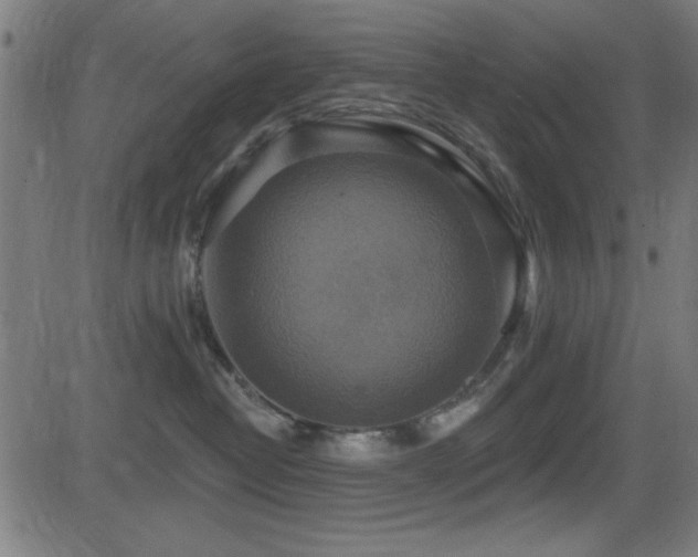 X0000081380382200701111458