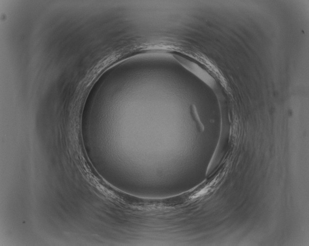 X0000081380385200701111458