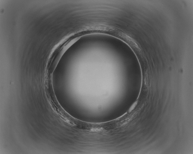 X0000081380388200701111457