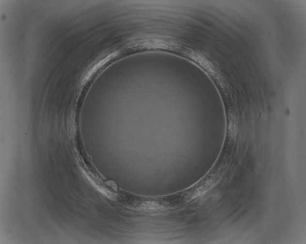 X0000081380390200701111457