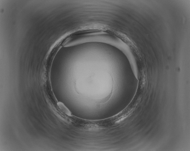 X0000081380392200701111457