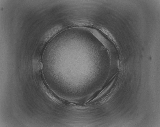 X0000081380393200701111457