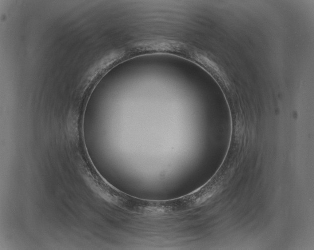 X0000081380394200701111457