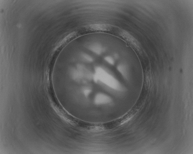 X0000081380398200701111457