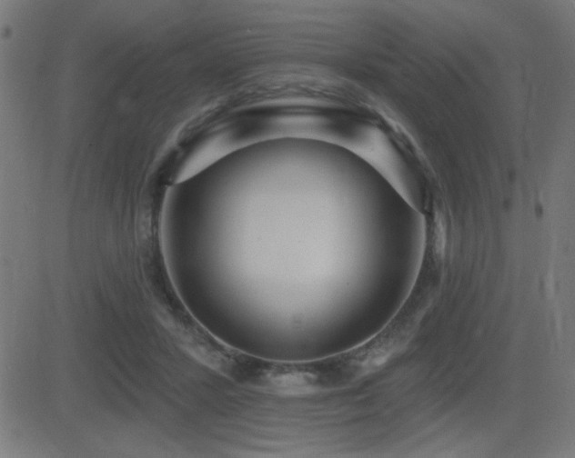 X0000081380407200701111457