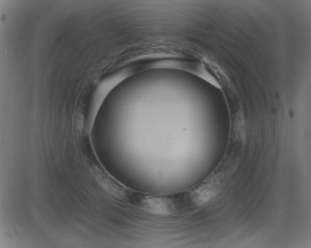 X0000081380417200701111457