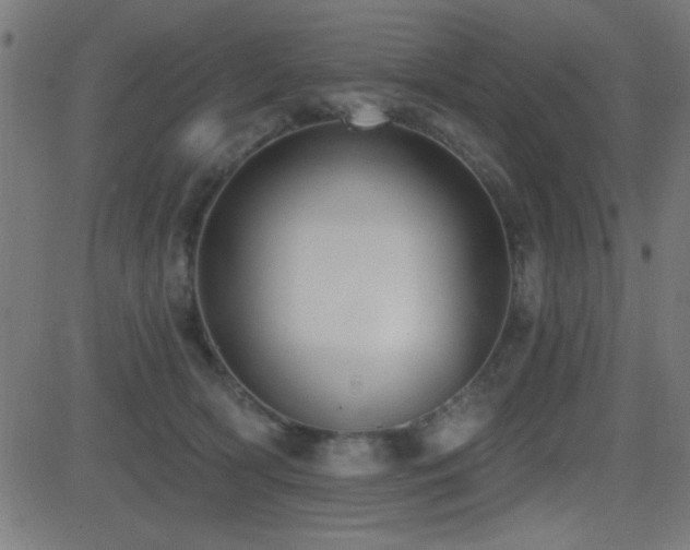 X0000081380418200701111457