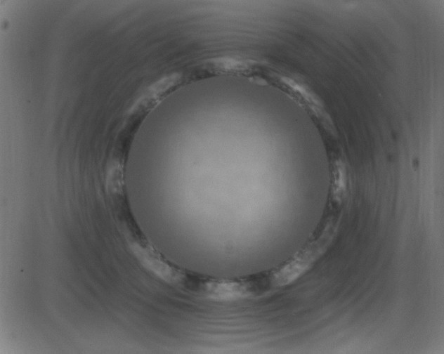 X0000081380419200701111457